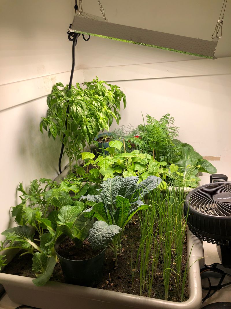 Spare Bedroom or Office