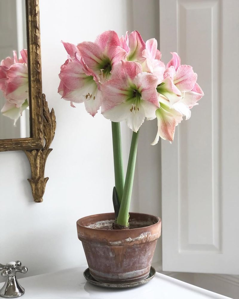 Dodge The Draft Zones