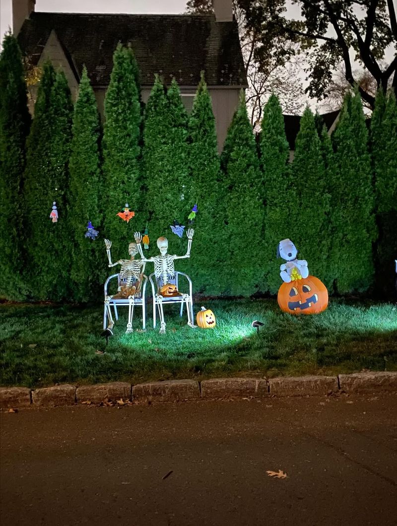 Excessive Yard Decorations