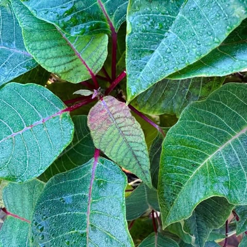 Dry Indoor Air From Heating Systems