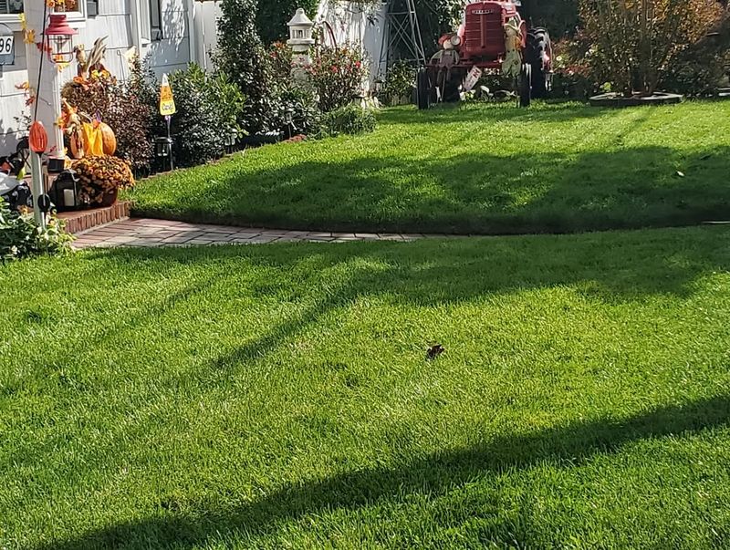 Odor Neutralizer for Pet Areas