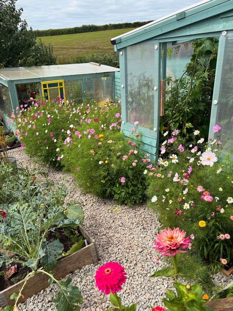 Maintain A Wild Corner