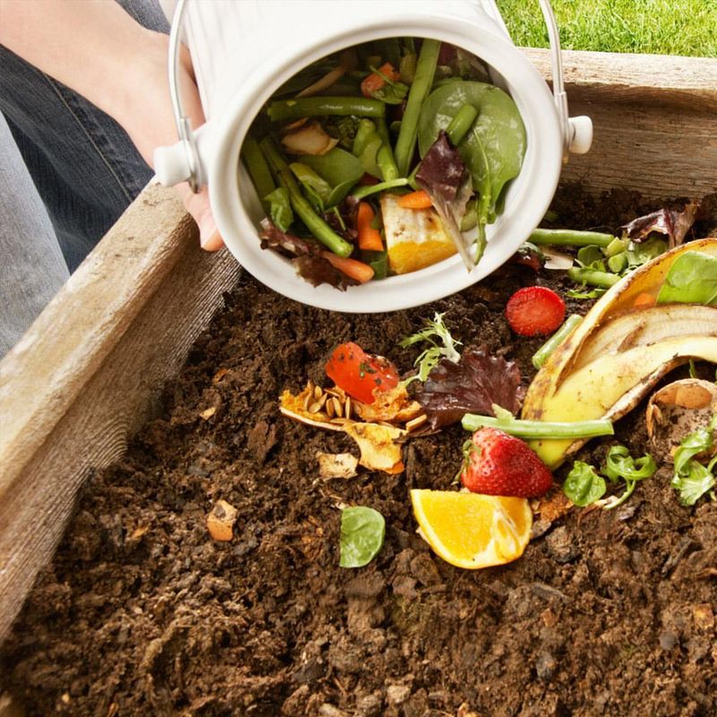 Beneficial Microbe Activity Through Winter