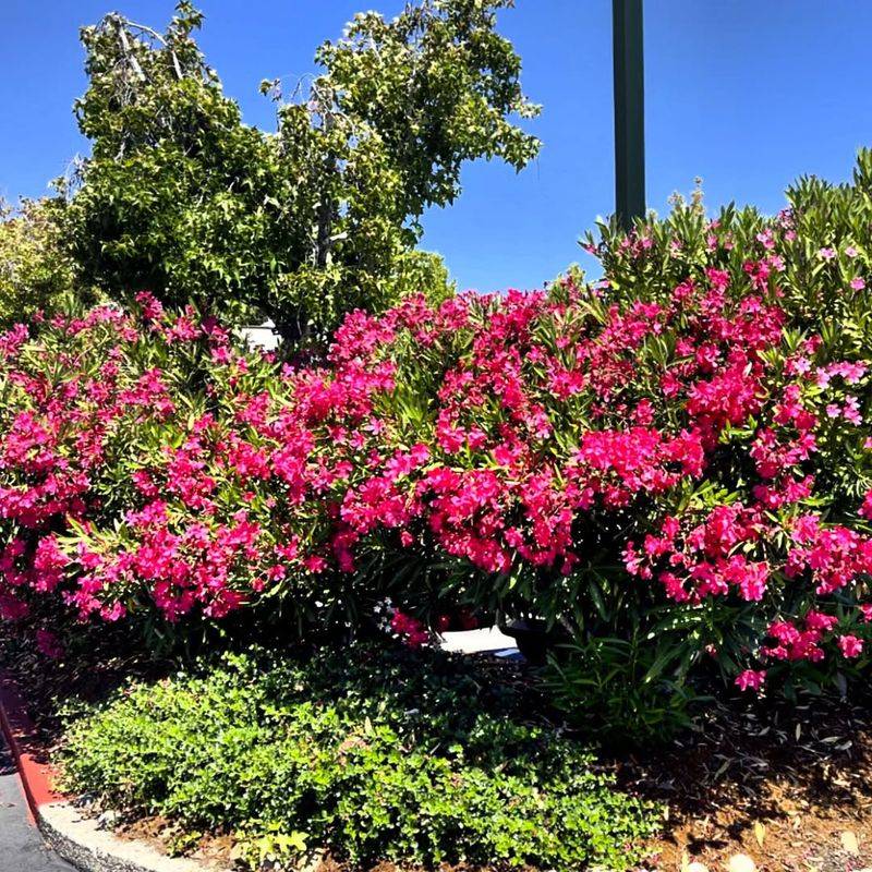 Children Are Especially Vulnerable To Poisoning