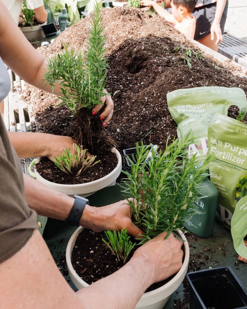 Slow Down Your Feeding Schedule