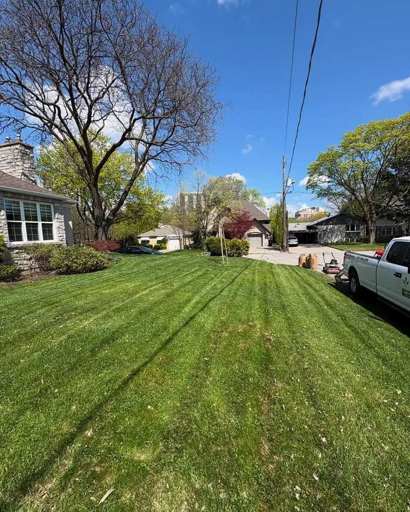 Cool-Season Grass Needs December Feeding