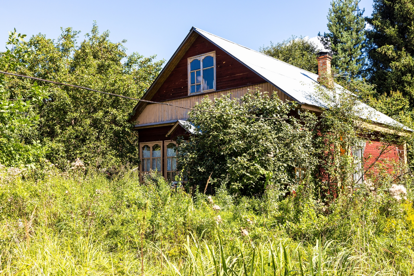 garden (featured image)