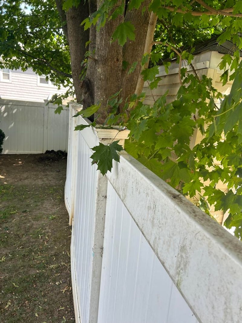 Understanding California's Self-Help Law