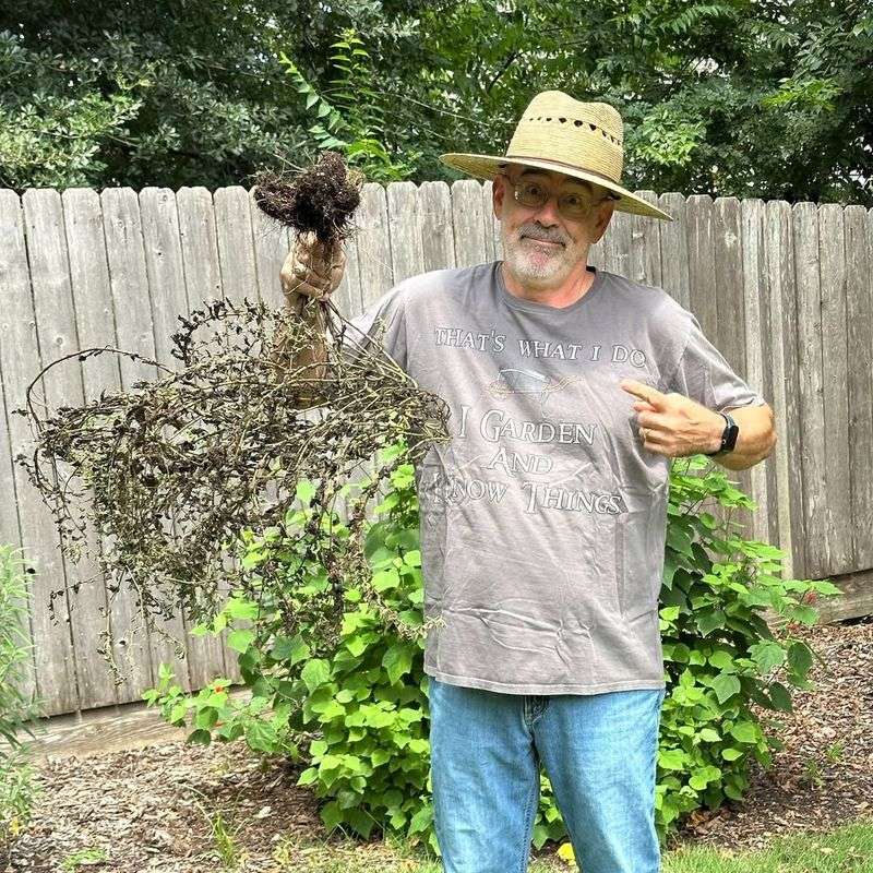 Texas Law Allows Self-Help Pruning