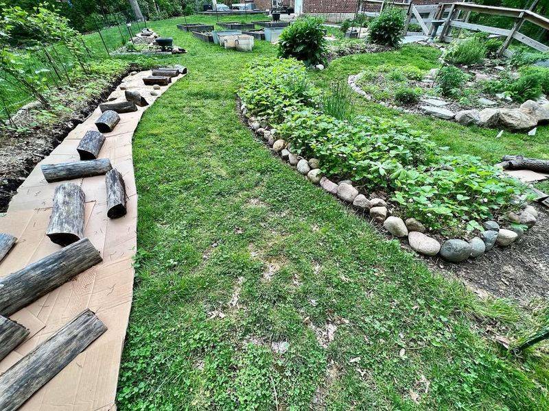 Compost Layers Feed Plants Naturally