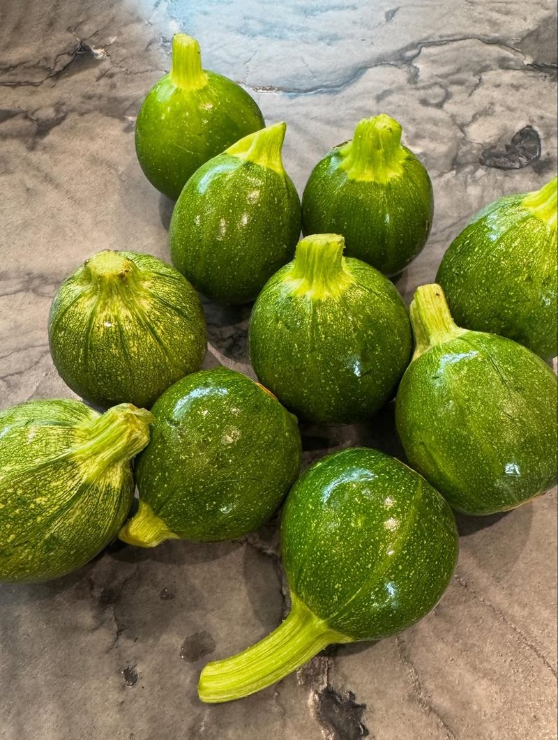 Zucchini