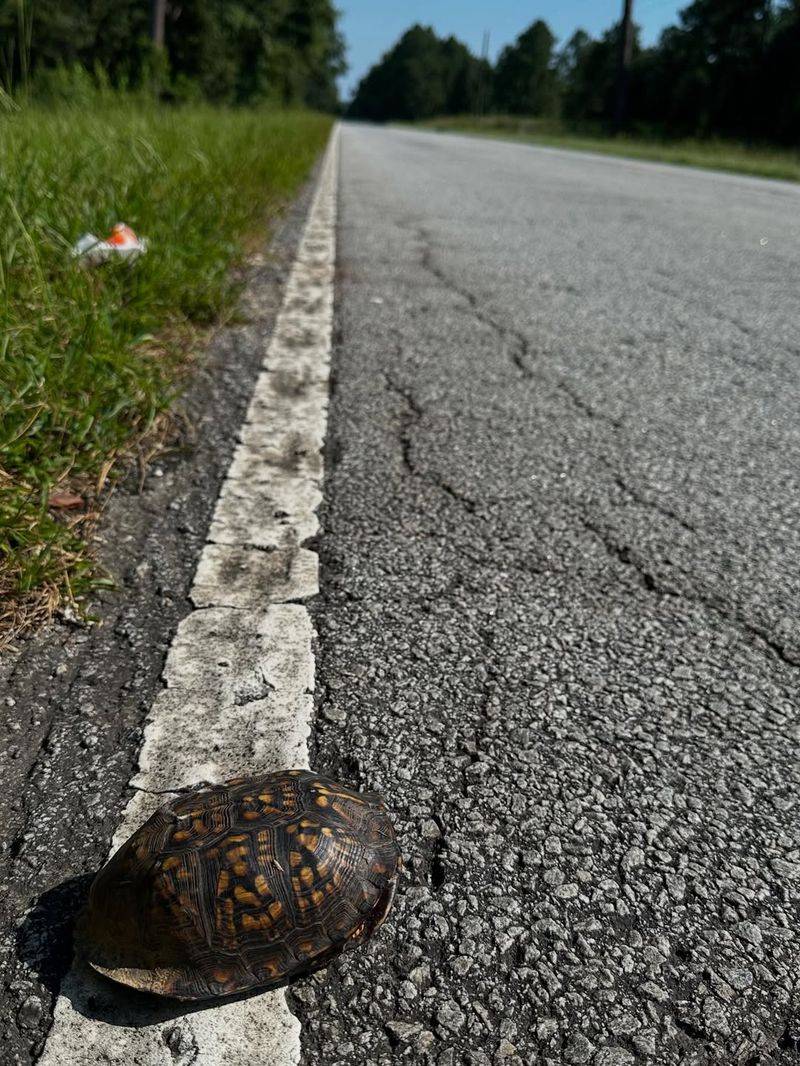 Move It Safely If It's In Danger