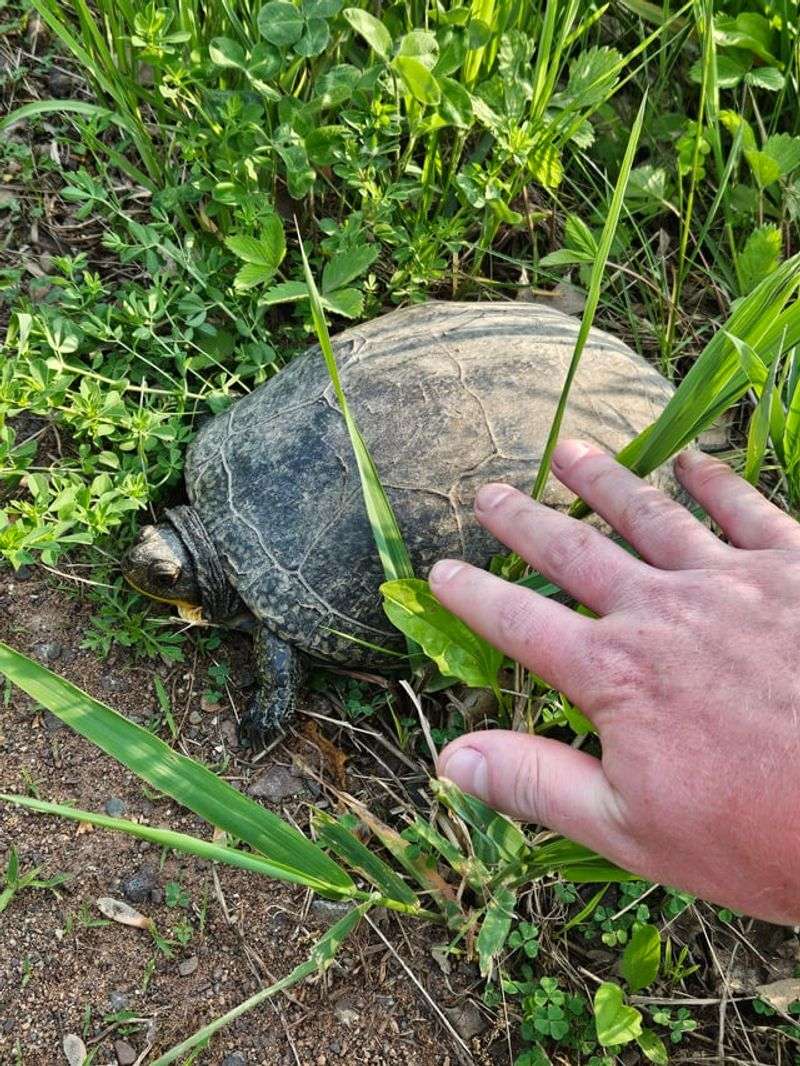 Provide Safe Passage Through Your Property