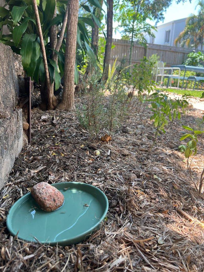 Provide Fresh Water Nearby