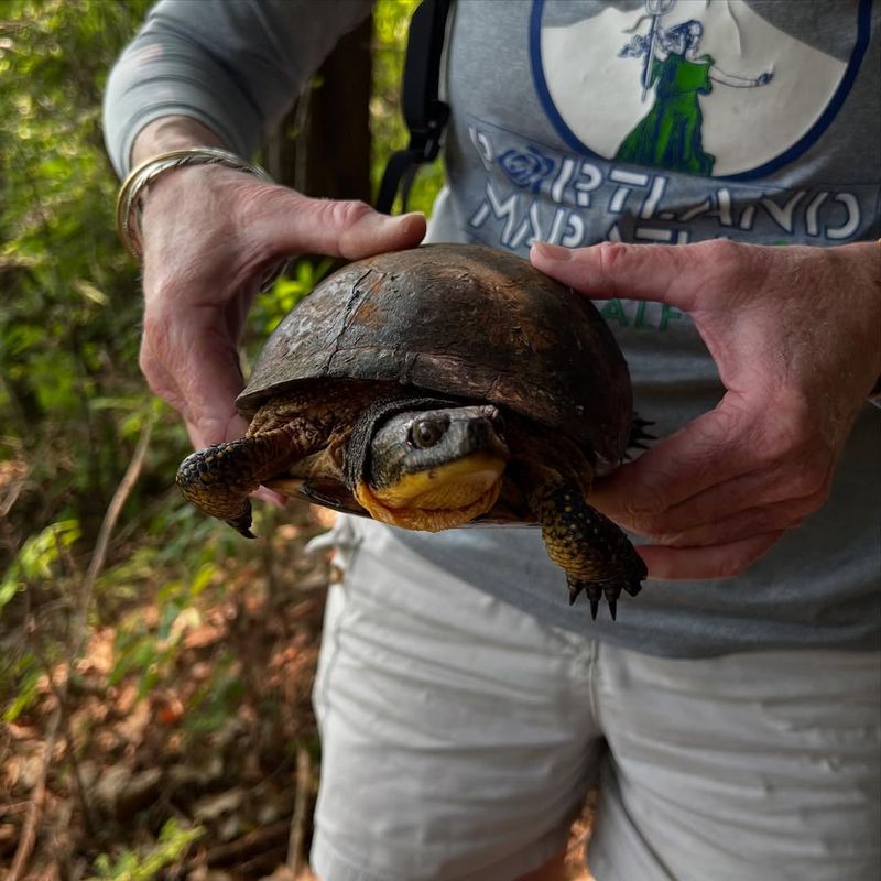 Handle With Care Using Proper Technique