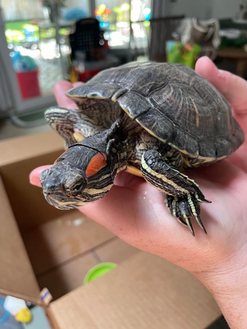 Handle With Proper Technique And Care