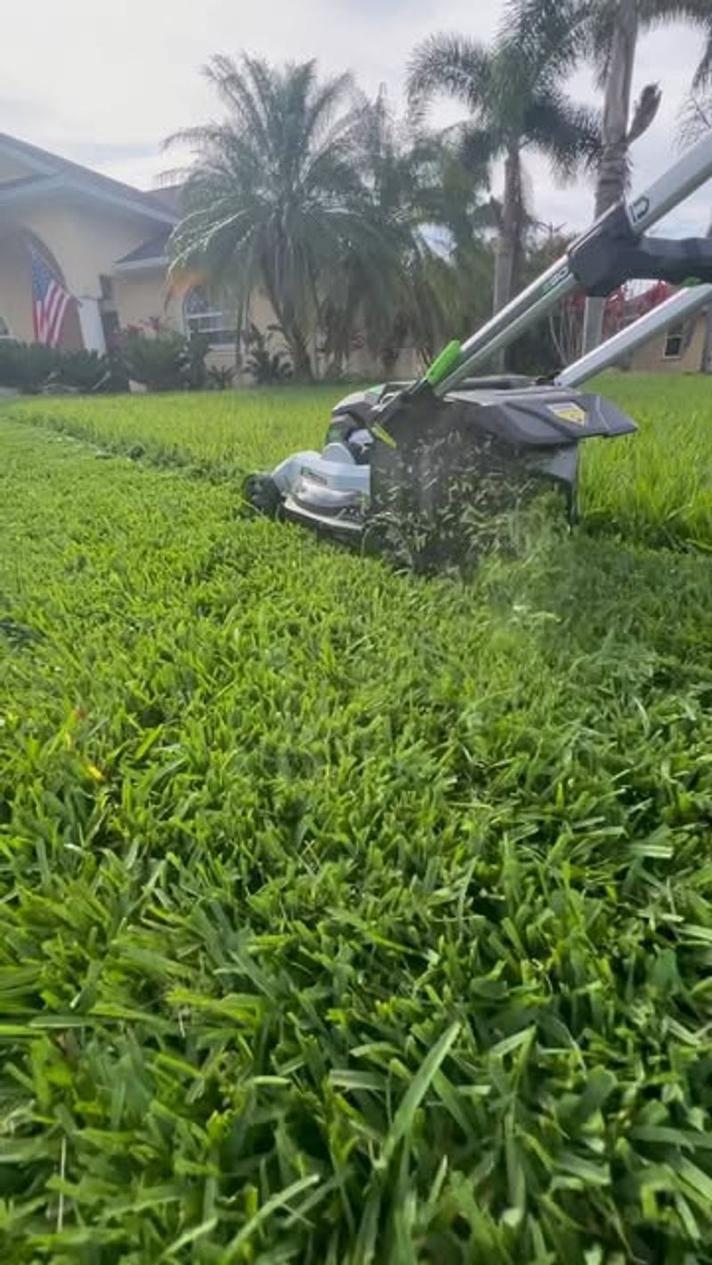 Mulch Grass Clippings Instead Of Bagging Them