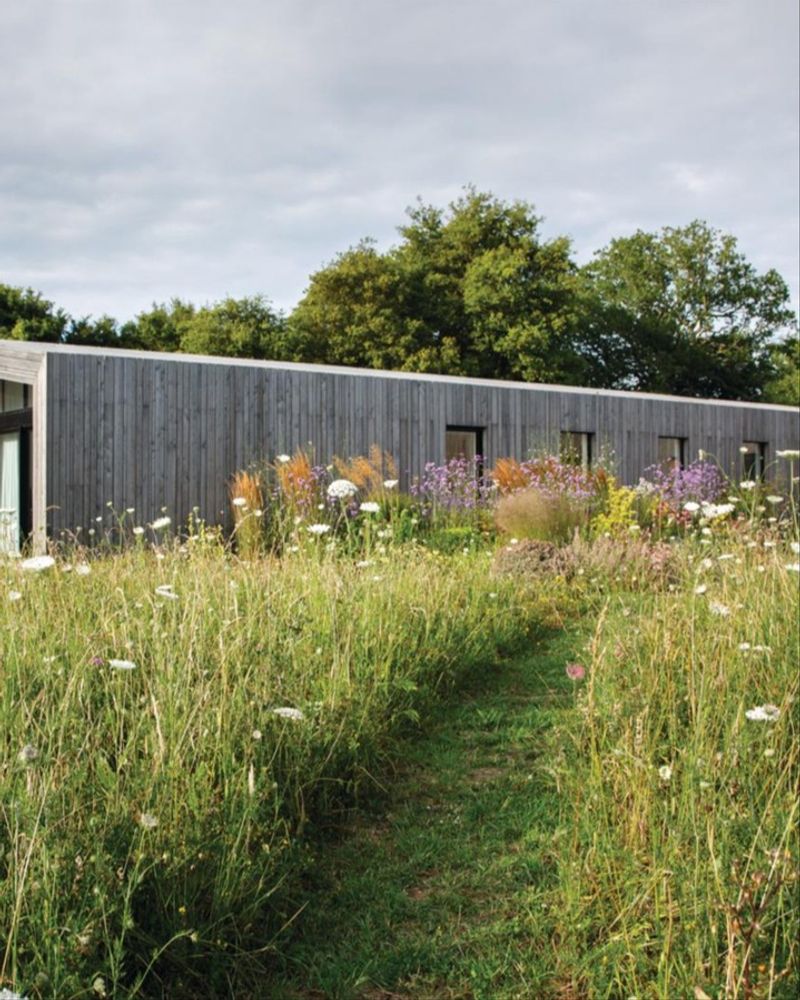Wildlife Finds Food and Shelter Right in Your Backyard