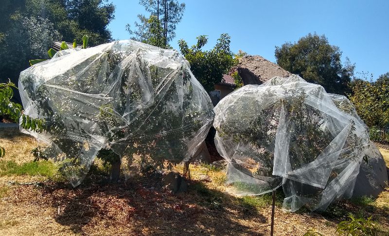 Adaptation Strategies Are Being Developed