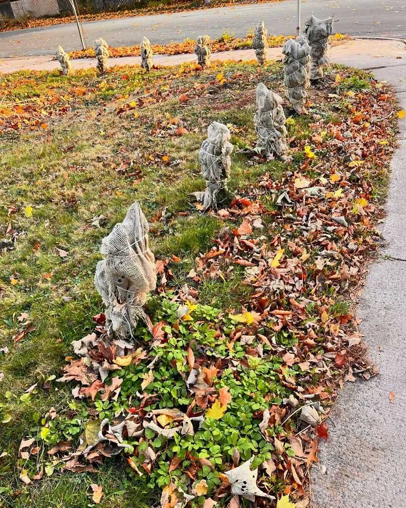 Time Your Wrapping Correctly