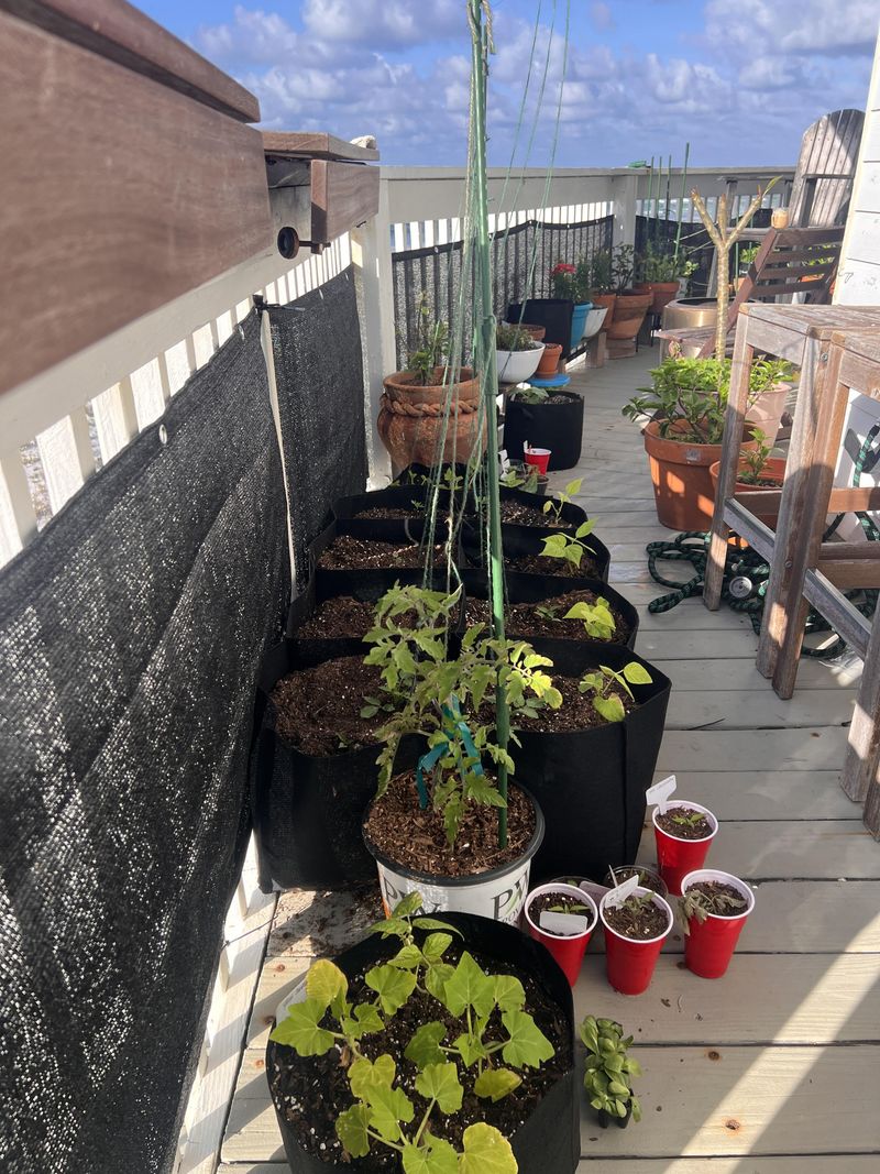 Create Windbreaks to Block Cold Air