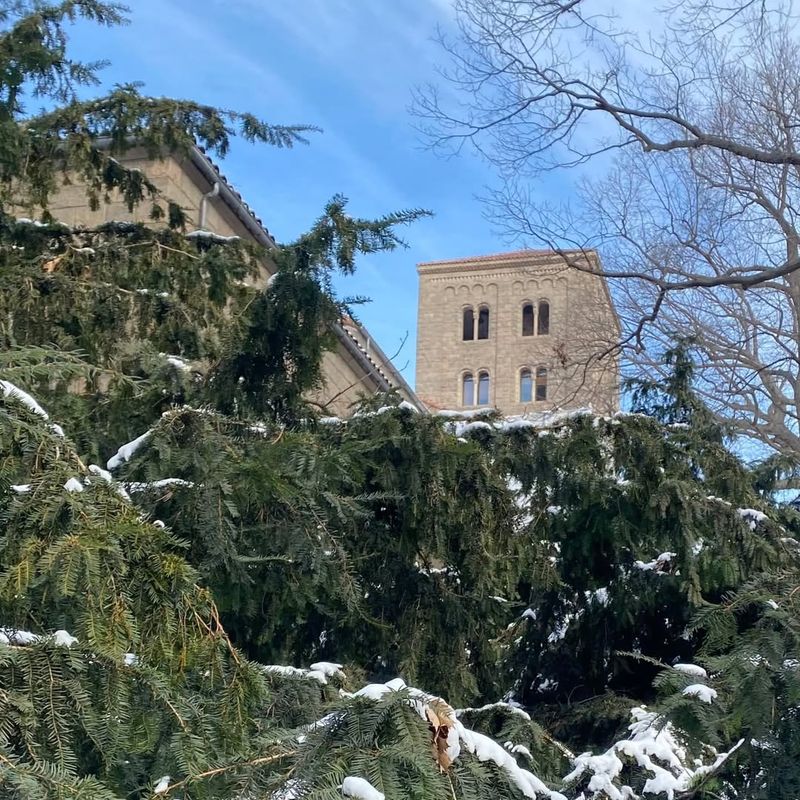 Build Temporary Snow Shelters