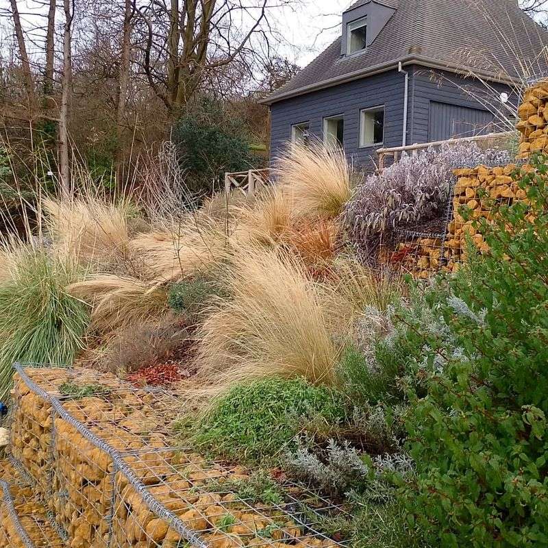 Plan For Four-Season Interest