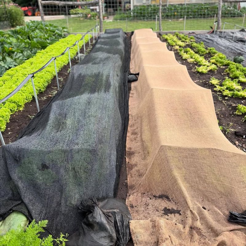 Using Shade Cloth To Extend Growing Seasons