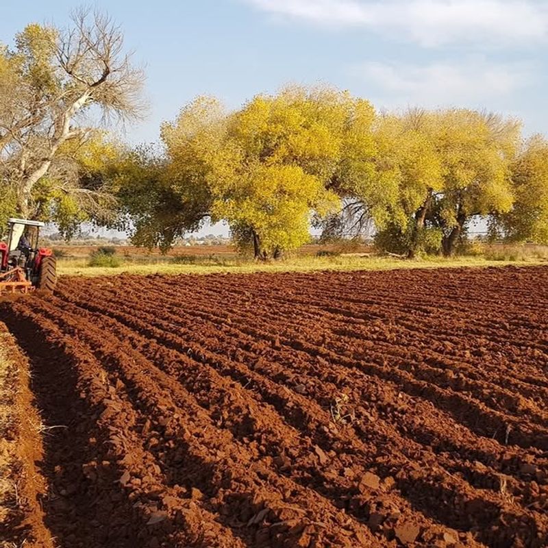 Skipping Soil Preparation