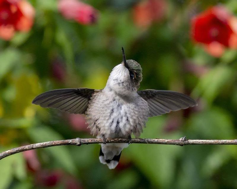 Keep Records For Next Year's Schedule