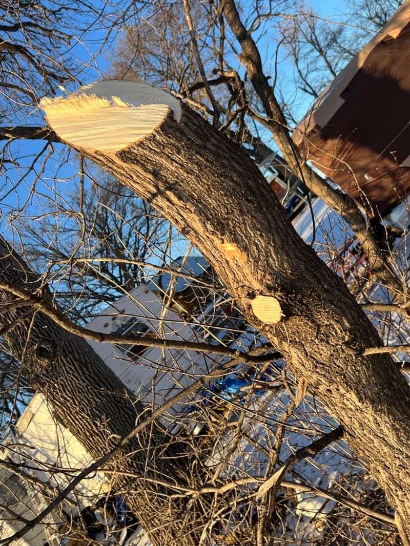 Legal Action As A Last Resort