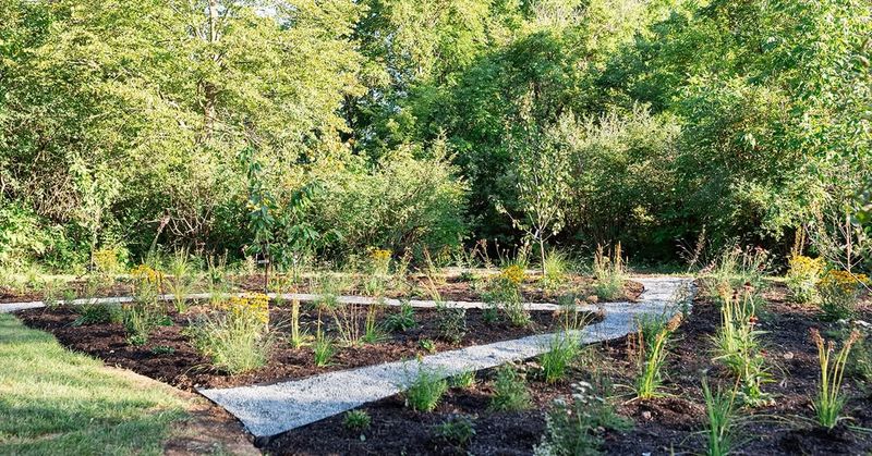 Community Building Through Shared Harvests