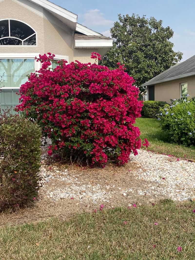 Design Versatility Magic