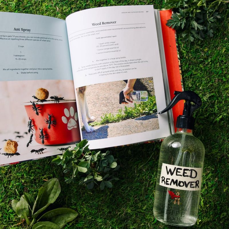 Lawn Chemicals Create Toxic Environments