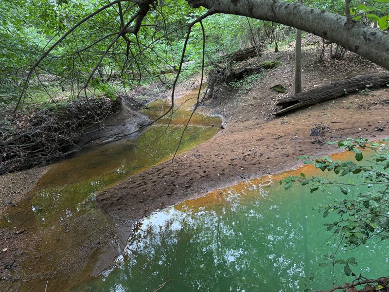 Water Quality Problems