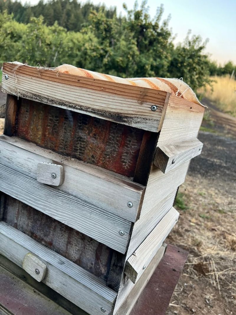 Beehives For Honey Production