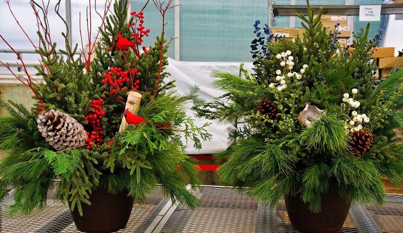 Low Maintenance During Busy Holiday Season