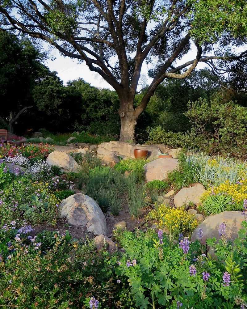 Water-Wise Gardening Principles