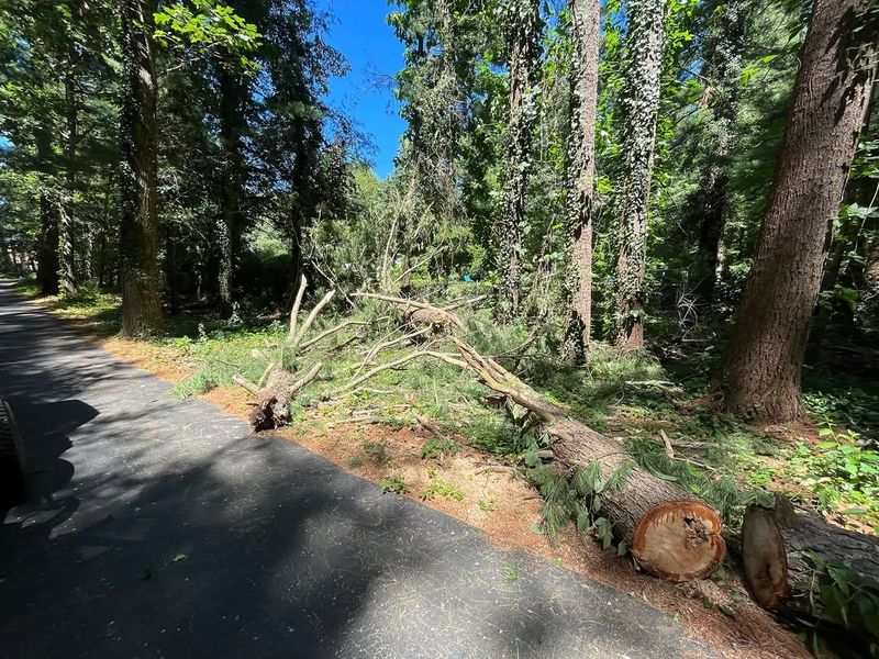 Know When To Consult A Property Attorney