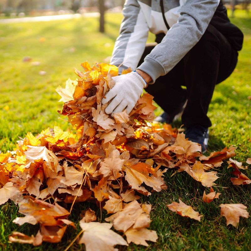 Nuisance Laws Have Specific Requirements