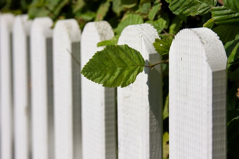 Homeowners Associations May Have Additional Rules