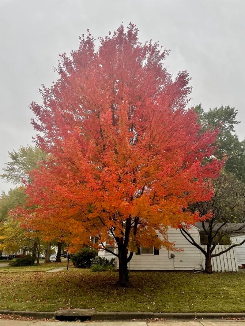 Municipal Ordinances May Offer Additional Guidance