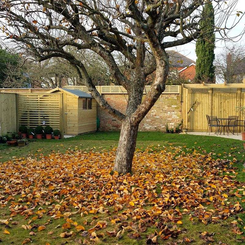 Prevention Beats Constant Cleanup Battles