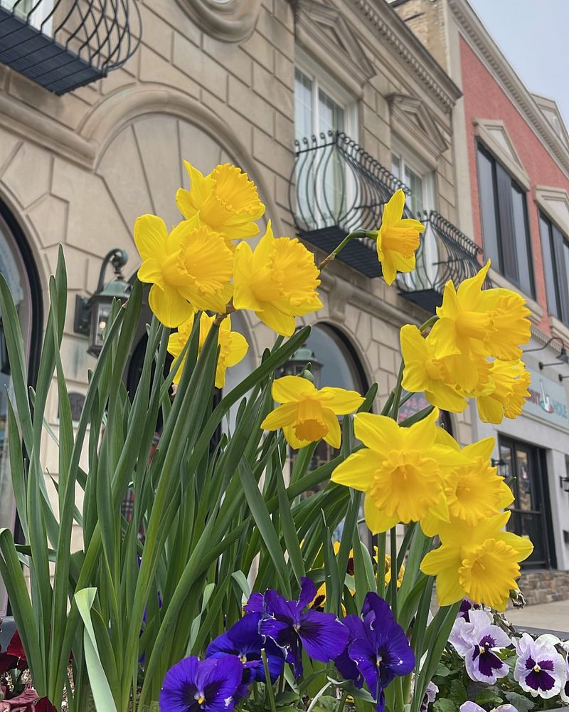 Affordable Starter Kits For Beginners