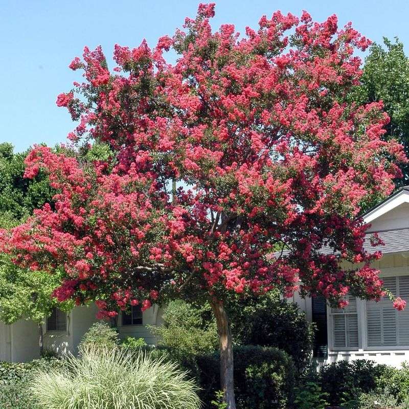 Minimal Pruning Keeps Maintenance Simple