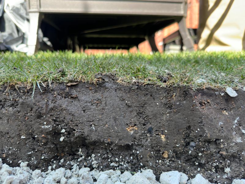 Root Growth Happens During Cool Fall Months