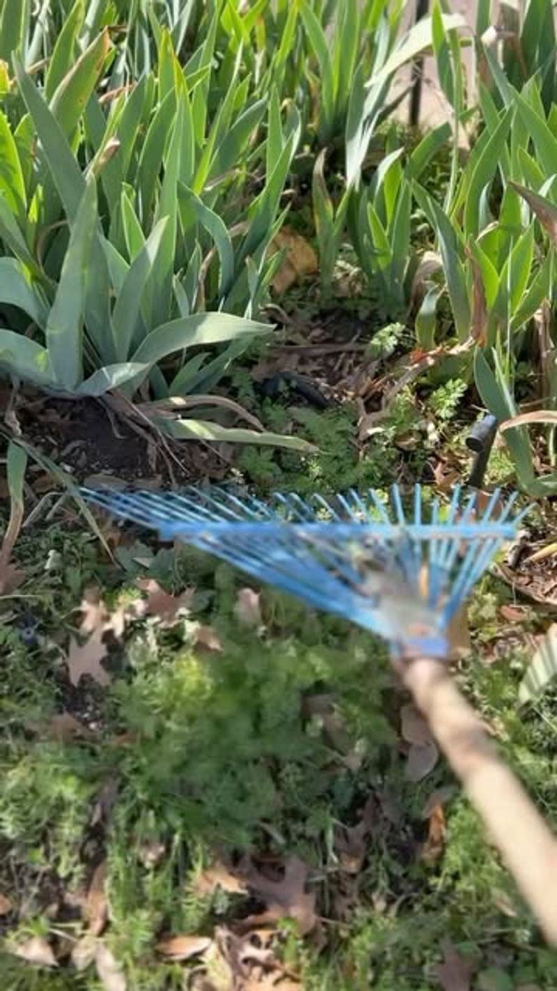 Consider Your Specific Plant Types