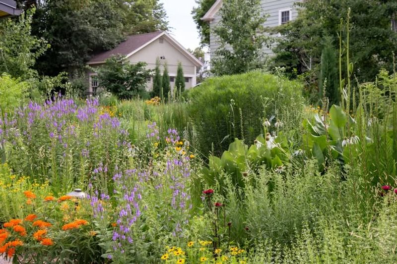 Climate Resilience For Uncertain Futures