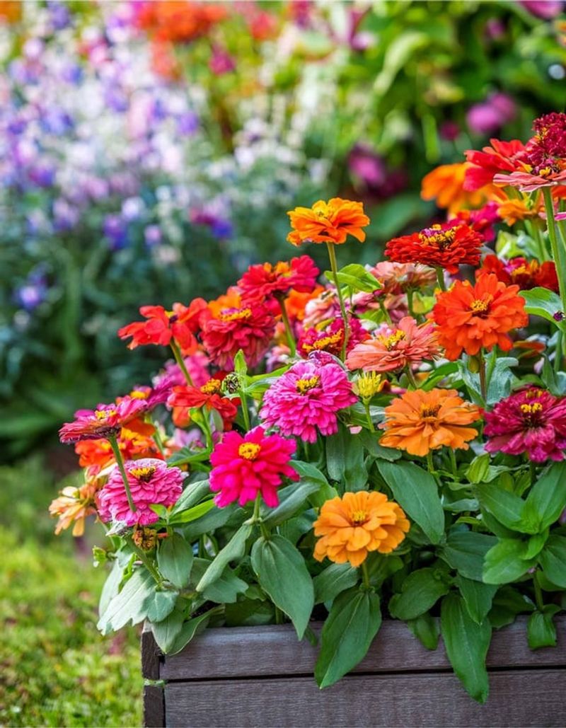 Encourages Deeper Root Development and Strength