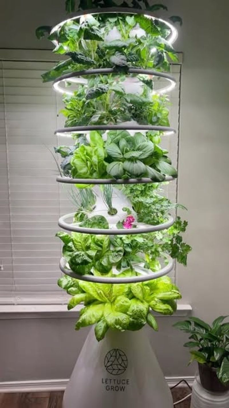 Avoiding Harsh Desert Pests